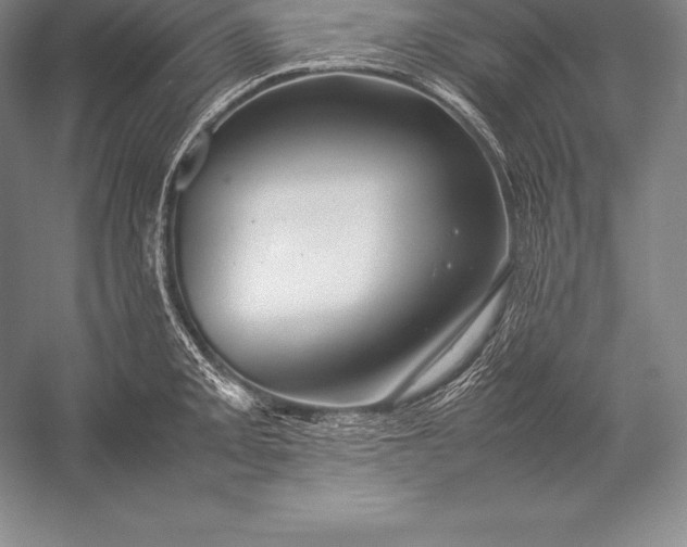 X0000052991093200507221214