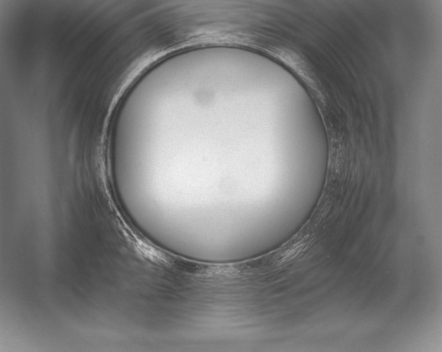 X0000052991094200507221214