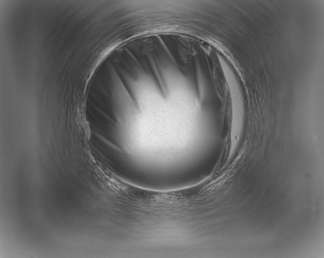 X0000052991097200507221214