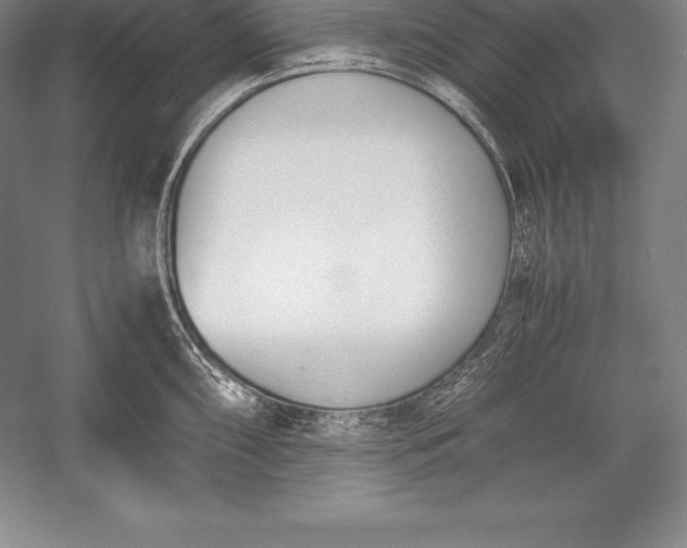 X0000052991098200507221214