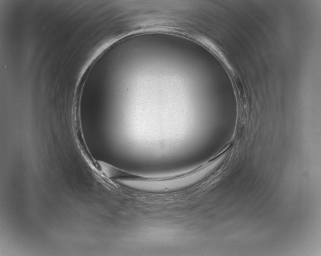 X0000052991101200507221214
