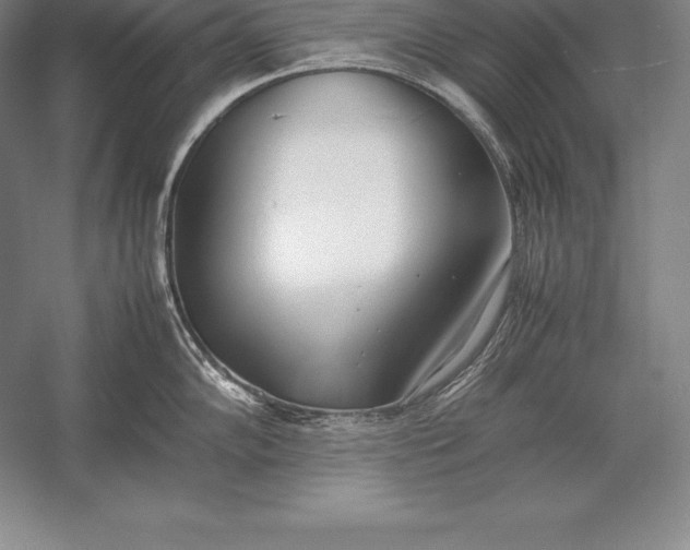 X0000052991102200507221214