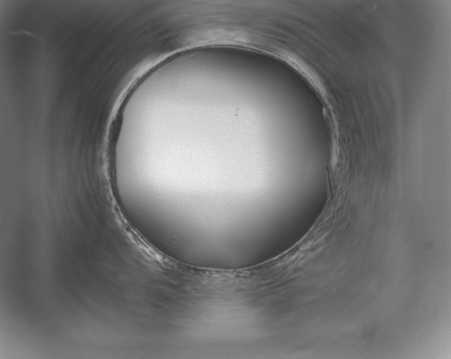 X0000052991104200507221214
