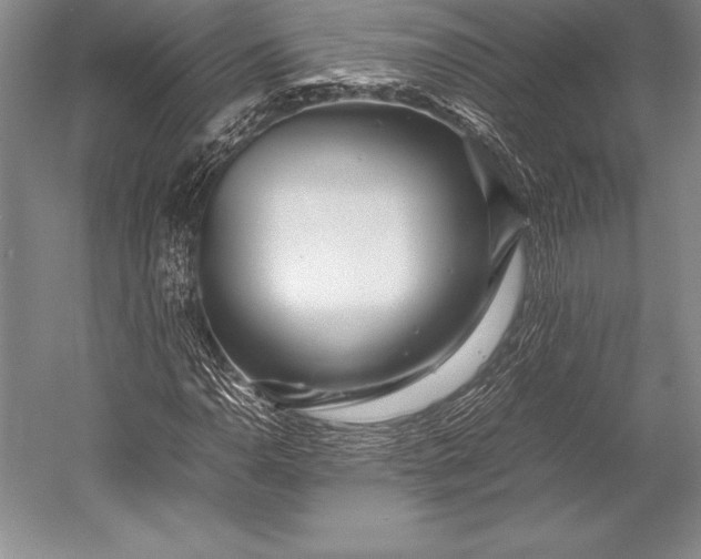 X0000052991110200507221213