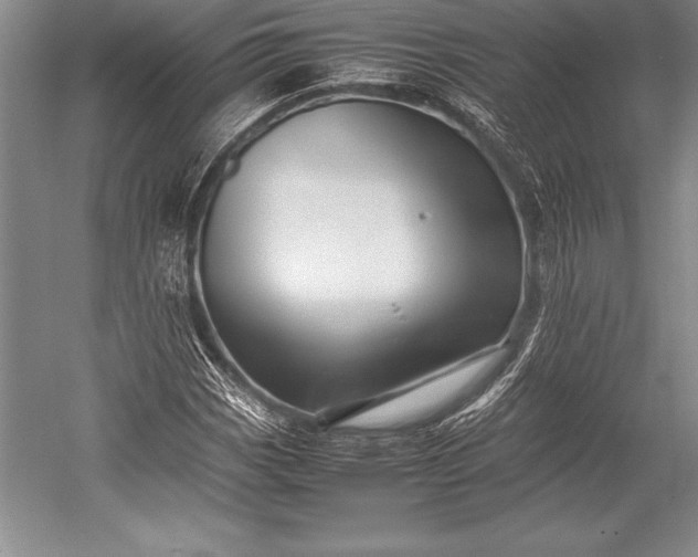 X0000052991113200507221213