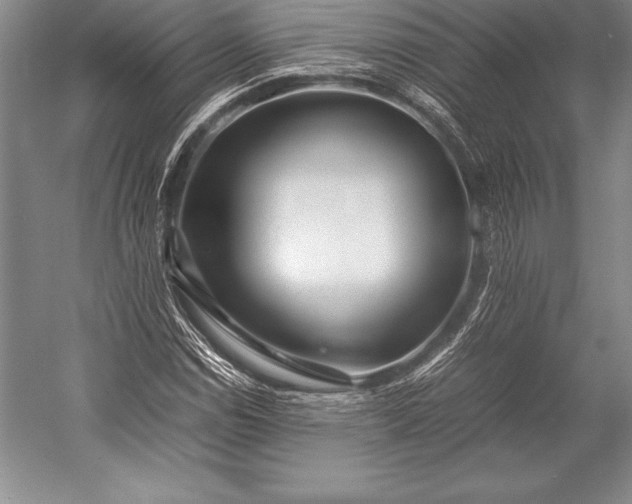 X0000052991114200507221213