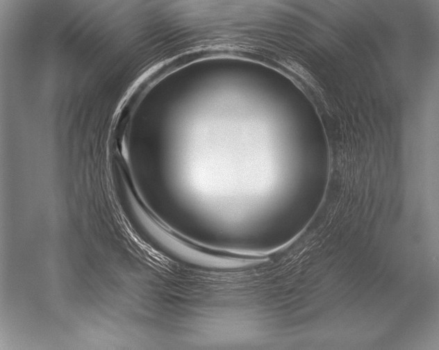 X0000052991120200507221213