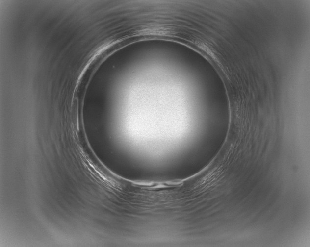 X0000052991123200507221213