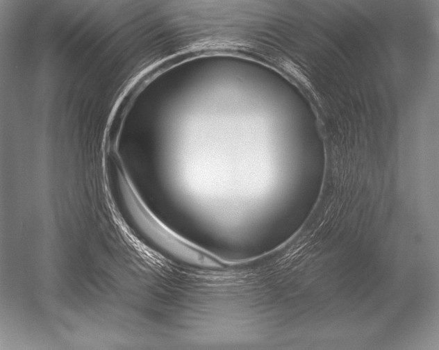 X0000052991124200507221213