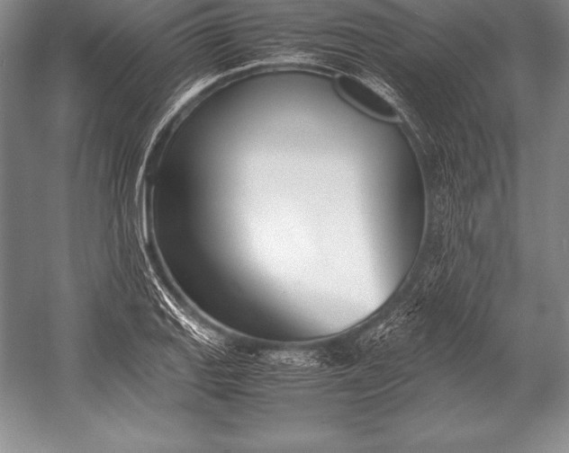 X0000052991127200507221213