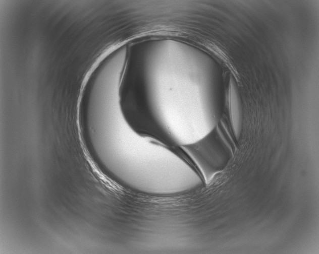 X0000052991128200507221213