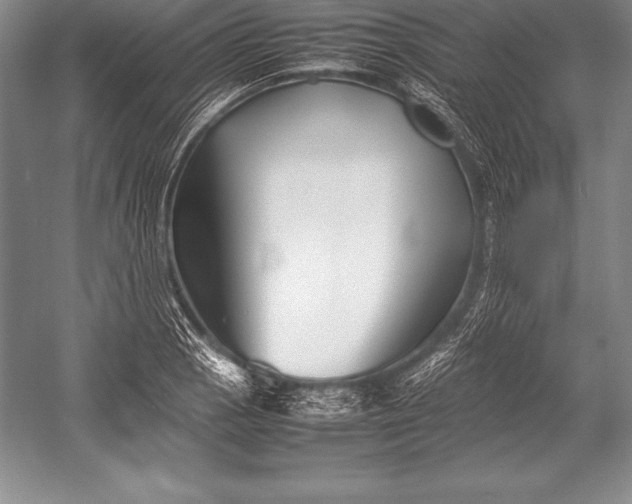 X0000052991129200507221213