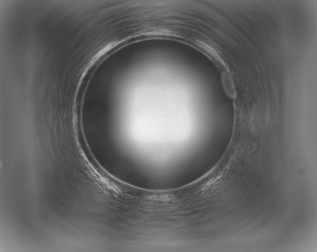 X0000052991133200507221214