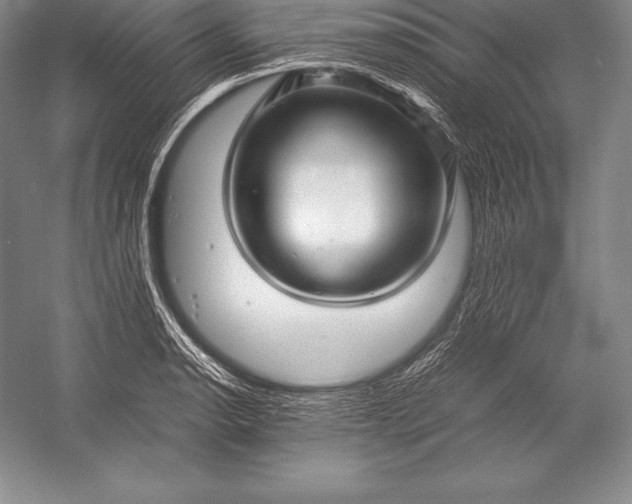 X0000052991134200507221214