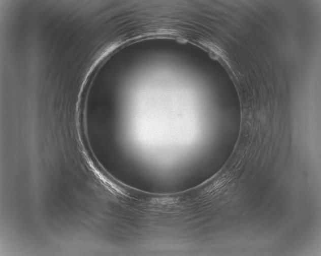 X0000052991135200507221214