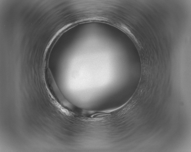 X0000052991140200507221214