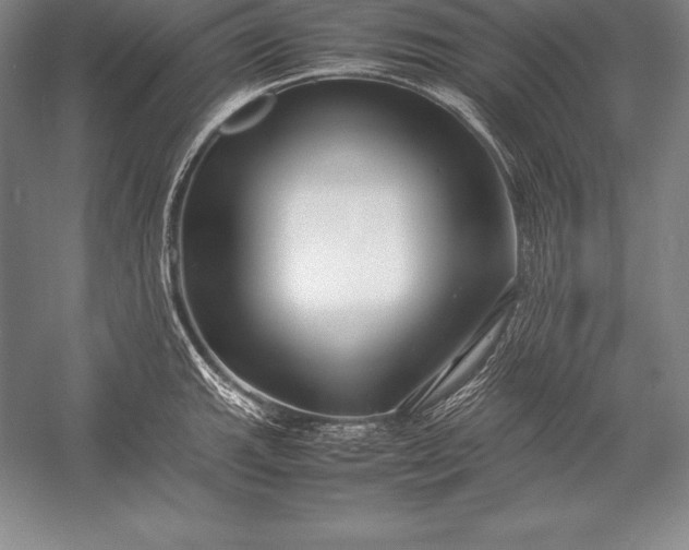 X0000052991143200507221214