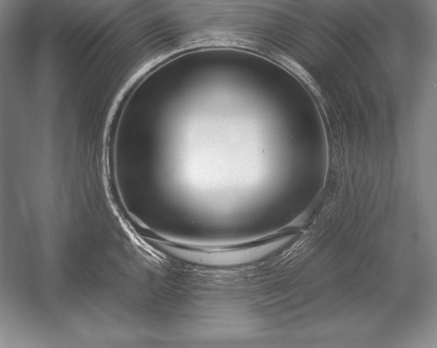 X0000052991144200507221214
