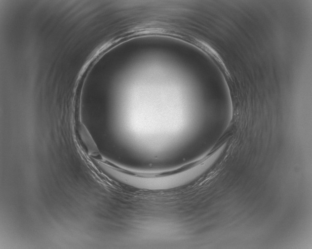 X0000052991146200507221214