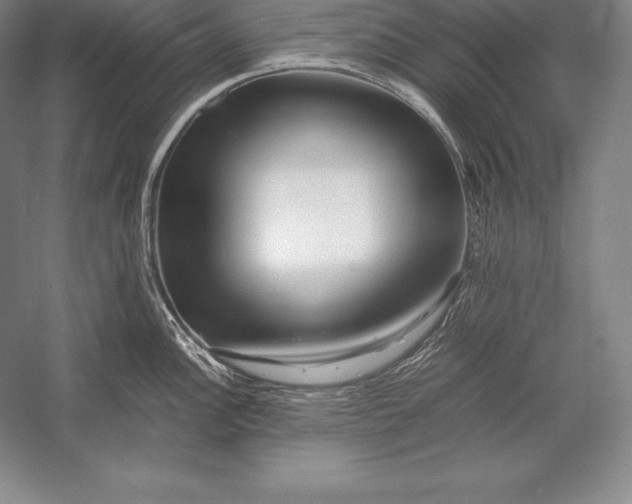 X0000052991148200507221214