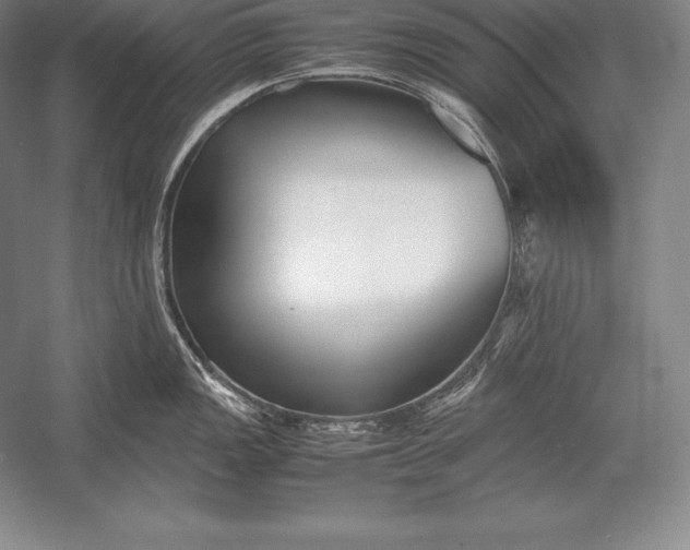 X0000052991149200507221214
