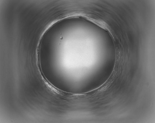 X0000052991151200507221214