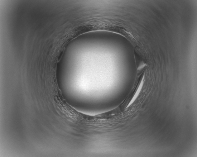 X0000052991153200507221213