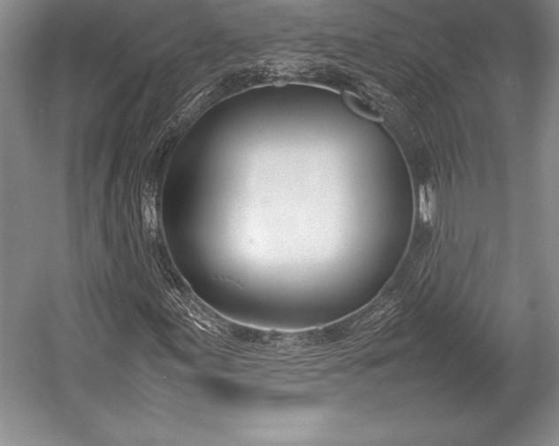 X0000052991155200507221213