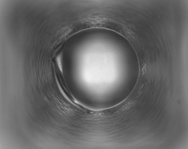 X0000052991156200507221213