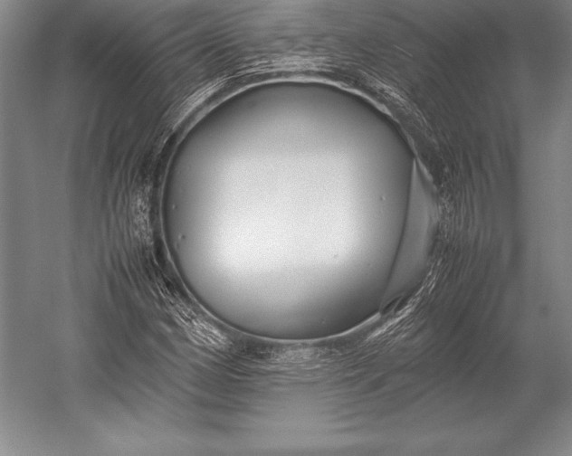 X0000052991162200507221213