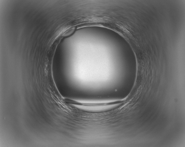 X0000052991163200507221213