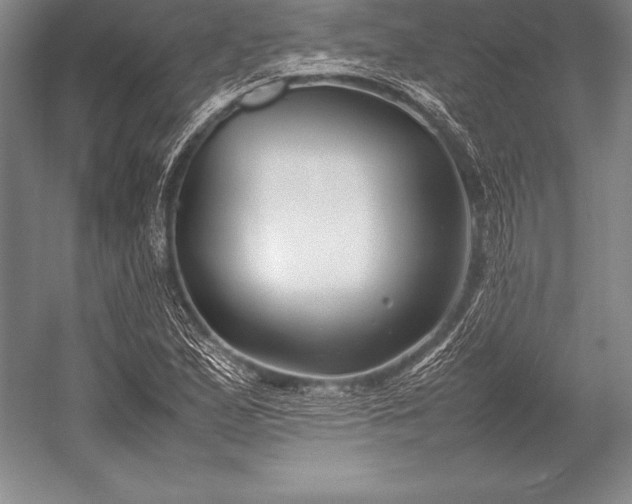 X0000052991167200507221213