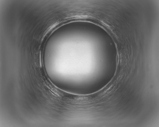 X0000052991171200507221213