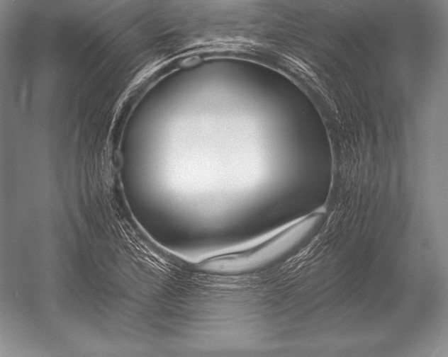 X0000052991172200507221213