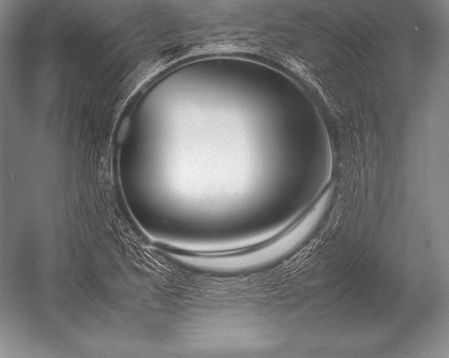X0000052991173200507221213