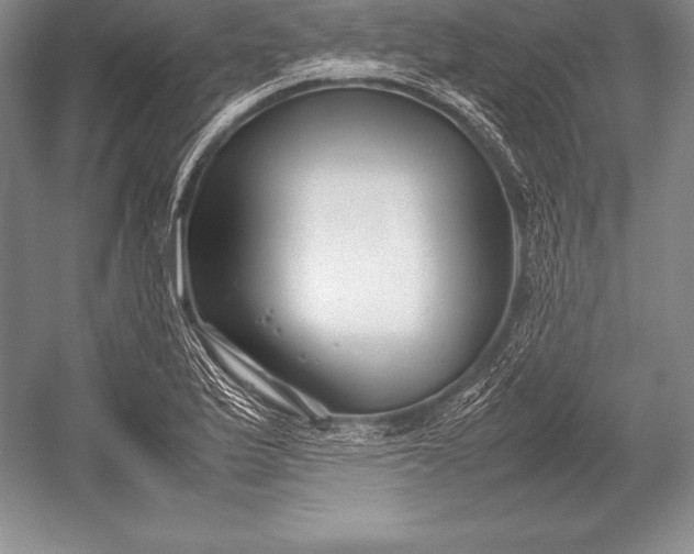 X0000052991175200507221213