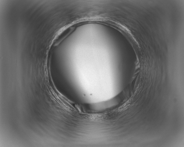 X0000052991176200507221213