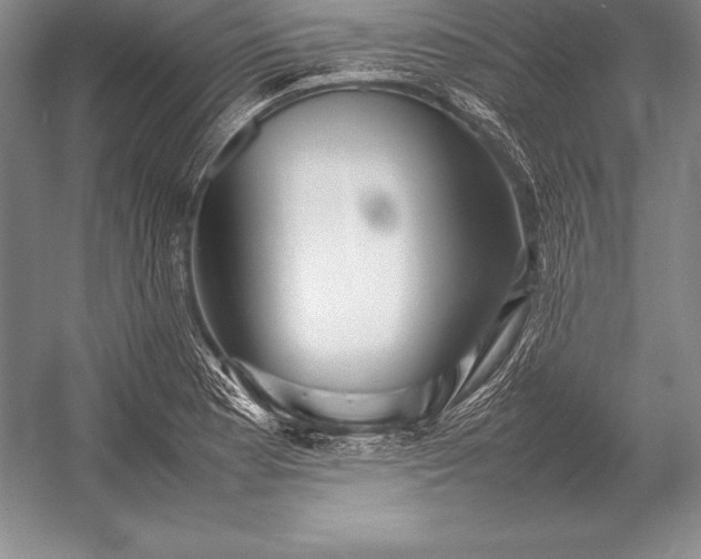 X0000052991177200507221213