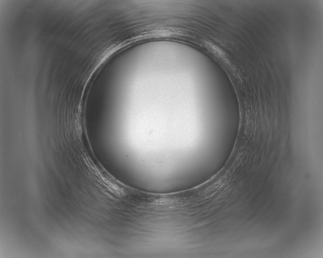 X0000052991178200507221213