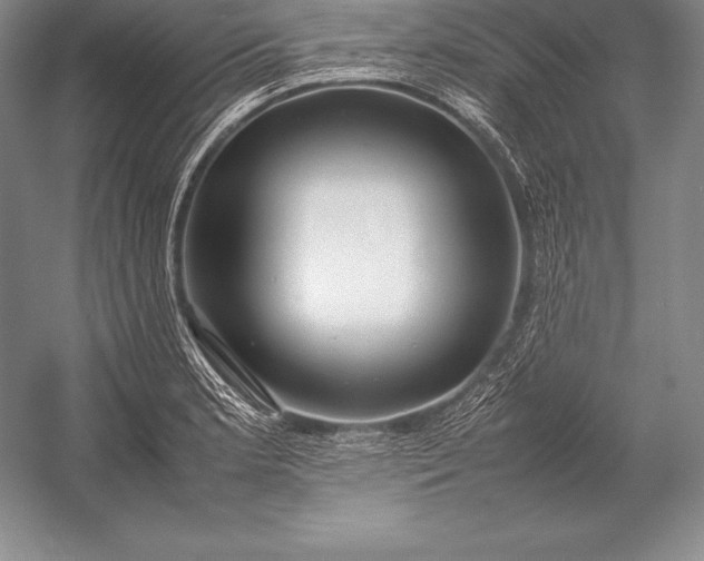 X0000052991181200507221213
