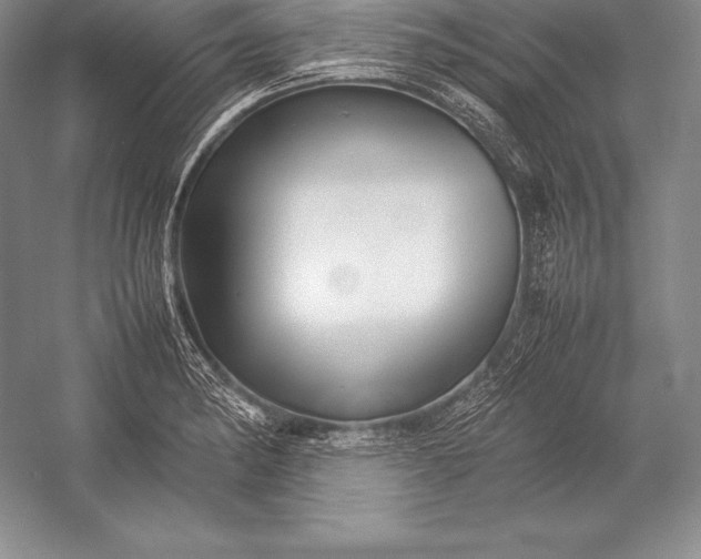 X0000052991182200507221213