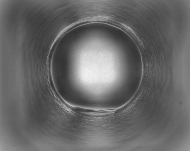 X0000052991184200507221213
