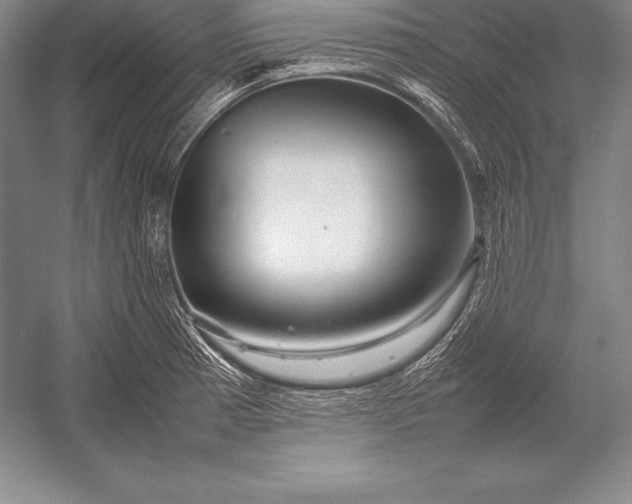 X0000052991185200507221212