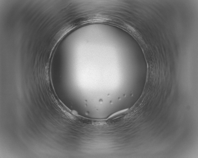 X0000052991186200507221212