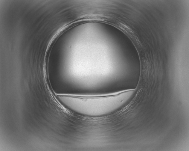 X0000052991188200507221212