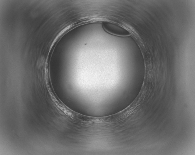 X0000052991190200507221212