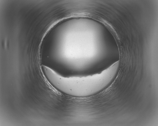 X0000052991192200507221212