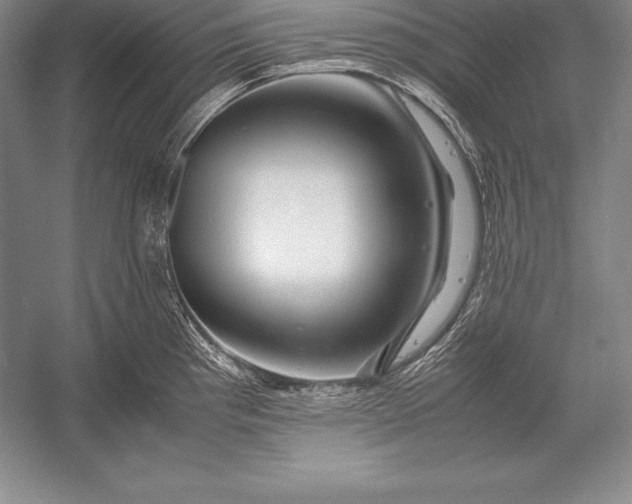 X0000052991193200507221212