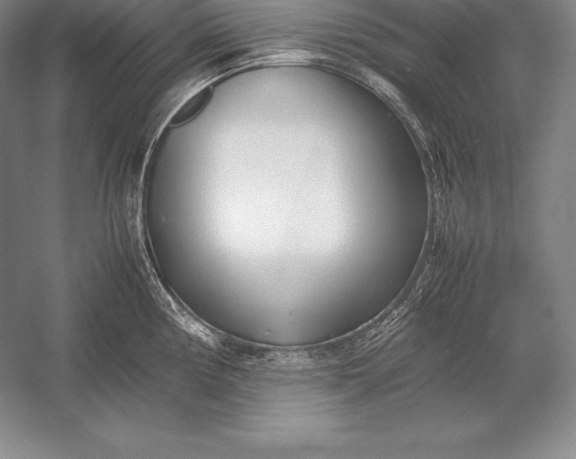X0000052991194200507221212