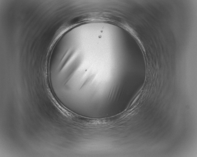 X0000052991195200507221212